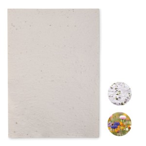 A4 wildflower seed paper sheet (unknown)