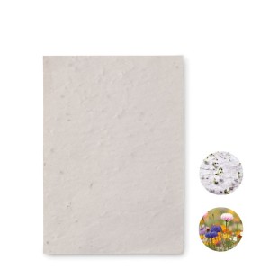 A6 wildflower seed paper sheet (unknown)