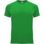 Bahrain short sleeve kids sports t-shirt, Green Fern