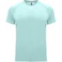 Bahrain short sleeve men's sports t-shirt, Mint