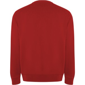Batian unisex crewneck sweater, Red (Pullovers)