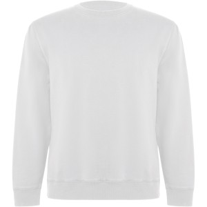 Batian unisex crewneck sweater, White (Pullovers)