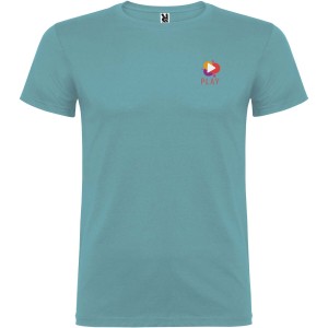 Beagle short sleeve kids t-shirt, Dusty Blue (T-shirt, 90-100% cotton)