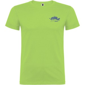 Beagle short sleeve kids t-shirt, Oasis Green (T-shirt, 90-100% cotton)