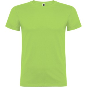Beagle short sleeve kids t-shirt, Oasis Green (T-shirt, 90-100% cotton)