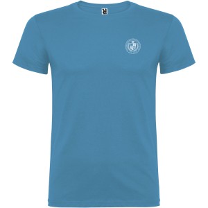 Beagle short sleeve kids t-shirt, Turquois (T-shirt, 90-100% cotton)