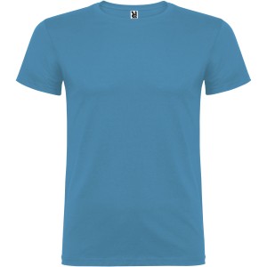Beagle short sleeve kids t-shirt, Turquois (T-shirt, 90-100% cotton)