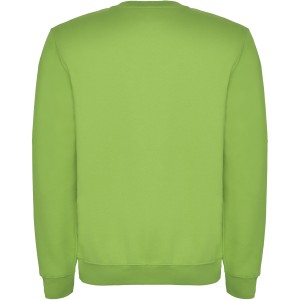 Clasica kids crewneck sweater, Oasis Green (Pullovers)