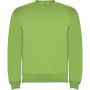 Clasica unisex crewneck sweater, Oasis Green