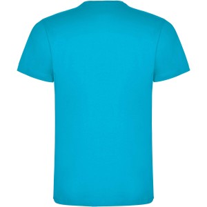 Dogo Premium short sleeve kids t-shirt, Turquois (T-shirt, 90-100% cotton)