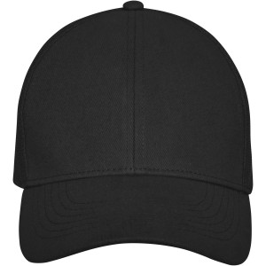 Drake 6 panel trucker cap, Solid black (Hats)