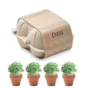 Egg carton growing kit (unknown)