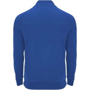 Epiro long sleeve unisex quarter zip sweatshirt, Royal blue (Pullovers)