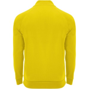 Epiro long sleeve unisex quarter zip sweatshirt, Yellow (Pullovers)