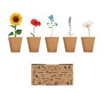 Flowers growing kit, Beige (MO6500-13)
