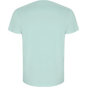 Golden short sleeve men's t-shirt, Mint (T-shirt, 90-100% cotton)