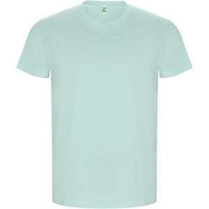 Golden short sleeve men's t-shirt, Mint (T-shirt, 90-100% cotton)
