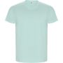 Golden short sleeve men's t-shirt, Mint