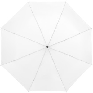 Ida 21.5
