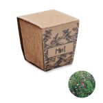 Mint seeds growing kit, Beige (MO2410-13)