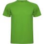 Montecarlo short sleeve kids sports t-shirt, Green Fern