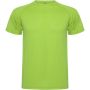 Montecarlo short sleeve men's sports t-shirt, Lime / Green Lime
