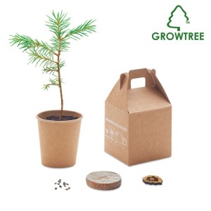 Pine tree set (Notebooks)