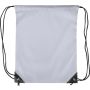 Polyester (210D) drawstring backpack Isolde, grey