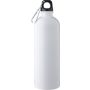 Recycled stainless steel single walled bottle (750 ml ) Emer