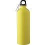 Recycled stainless steel single walled bottle (750 ml ) Emer