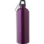 Recycled stainless steel single walled bottle (750 ml ) Emer