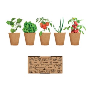 Salad growing kit (unknown)