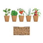 Salad growing kit, Beige (MO6499-13)