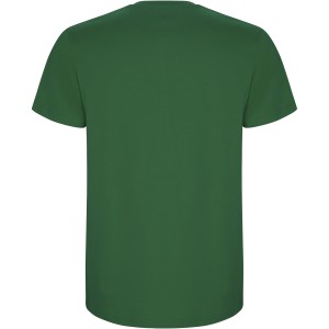 Stafford short sleeve kids t-shirt, Kelly Green (T-shirt, 90-100% cotton)
