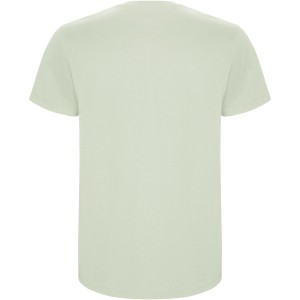 Stafford short sleeve kids t-shirt, Mist Green (T-shirt, 90-100% cotton)