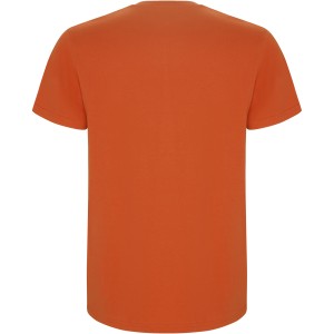 Stafford short sleeve kids t-shirt, Orange (T-shirt, 90-100% cotton)