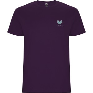 Stafford short sleeve kids t-shirt, Purple (T-shirt, 90-100% cotton)