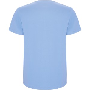 Stafford short sleeve kids t-shirt, Sky blue (T-shirt, 90-100% cotton)