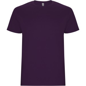 Stafford short sleeve men's t-shirt, Purple (T-shirt, 90-100% cotton)