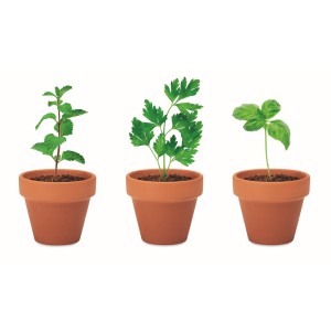 Terracotta 3 herb pot set (Gardening)