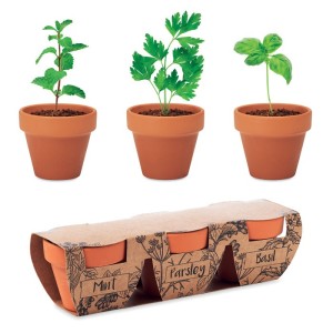 Terracotta 3 herb pot set (Gardening)