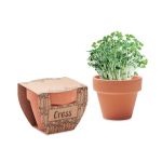 Terracotta pot cress seeds, Wood (MO2219-40)