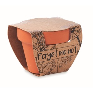 Terracotta pot 'forget me not' (Gardening)