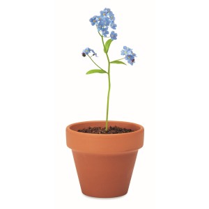Terracotta pot 'forget me not' (Gardening)