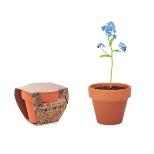 Terracotta pot 'forget me not' (Gardening)