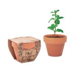 Terracotta pot mint seeds, Wood (MO2218-40)