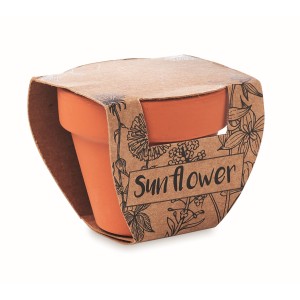 Terracotta pot 'sunflower' (Gardening)