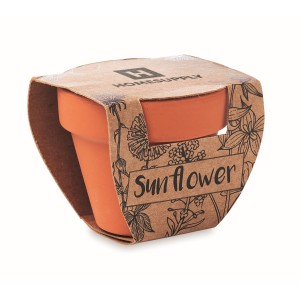 Terracotta pot 'sunflower' (Gardening)