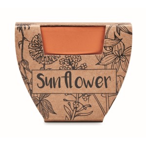 Terracotta pot 'sunflower' (Gardening)