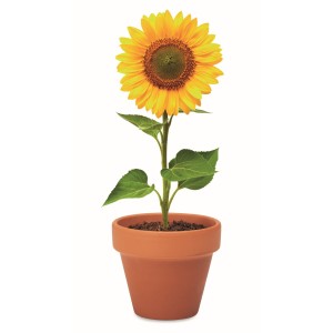 Terracotta pot 'sunflower' (Gardening)